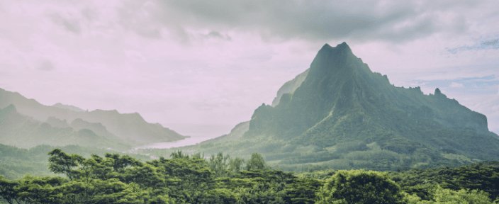 01-MOOREA-TOUR-ILE-088