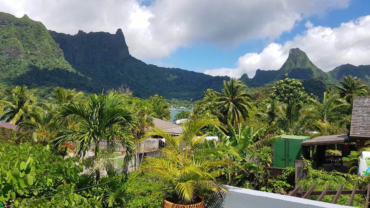 162da12a-b58a-4f60-9a72-6523429a4793